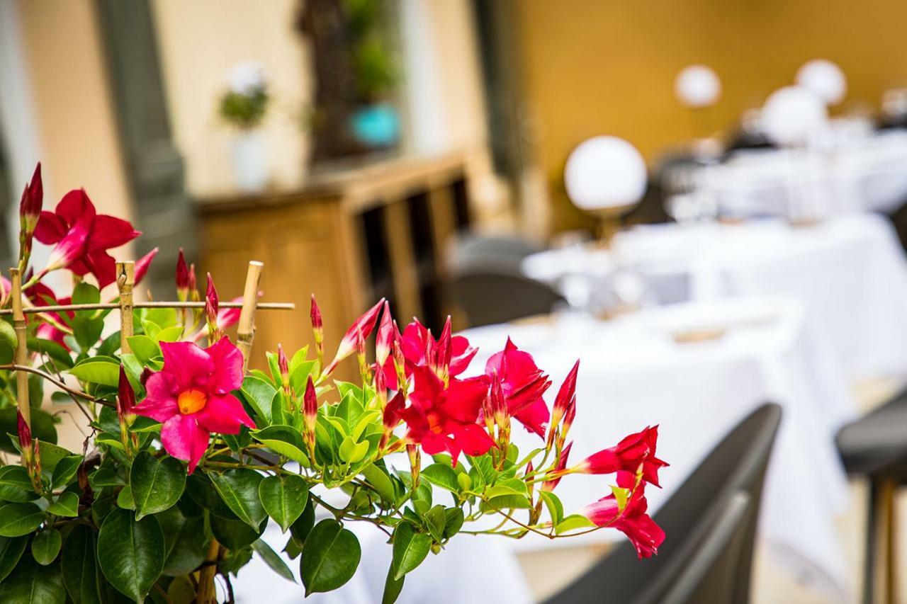 Hotel Restaurant Gastronomique La Huchette ルプロンジュ エクステリア 写真
